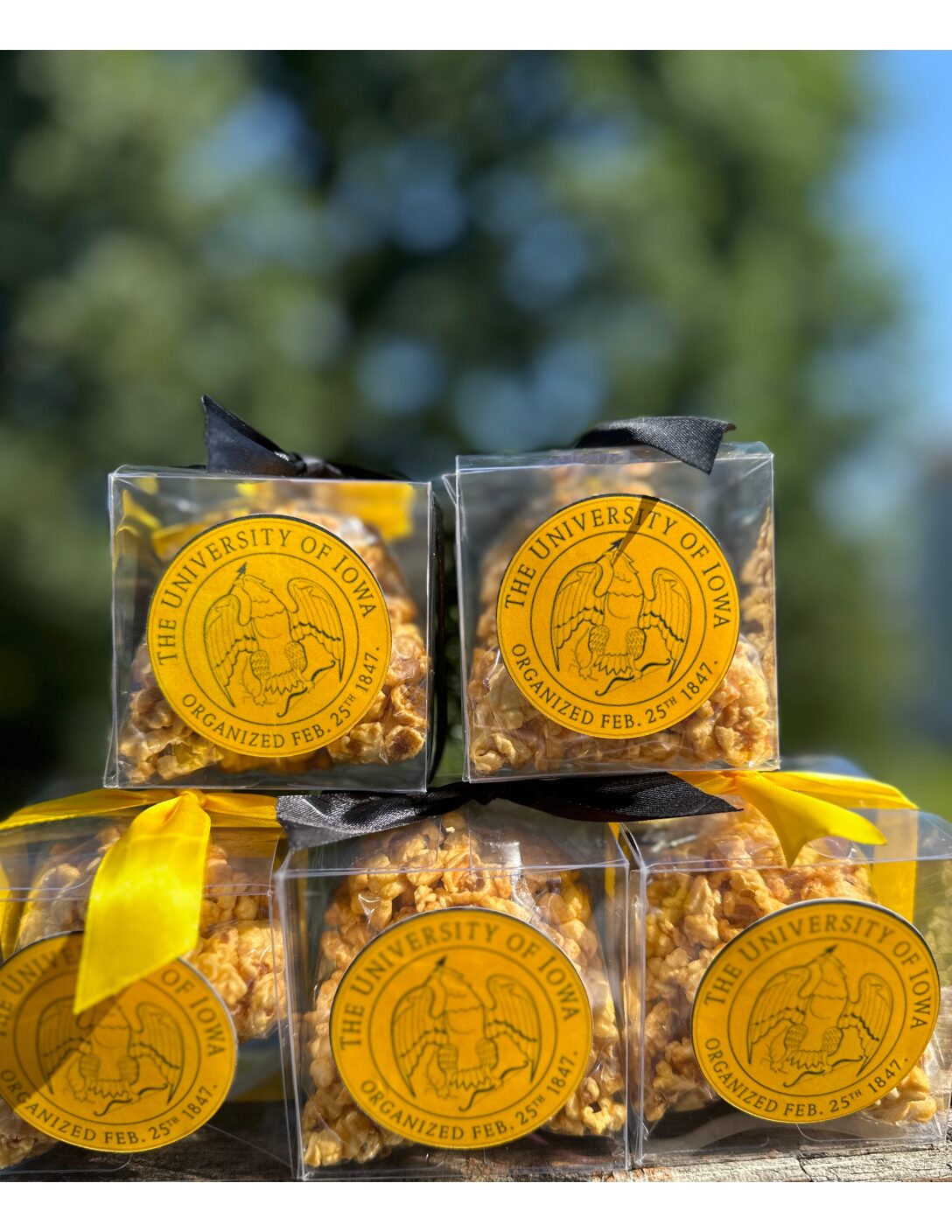 Gourmet Popcorn Party Favors - Image 2